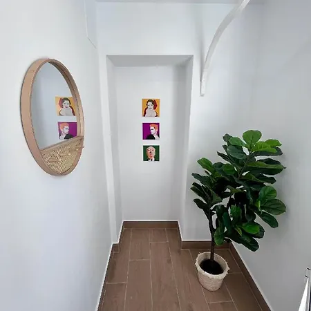 Gatu Premium Flamenca , Preferente Mayores De 25 Anos Y Familias * Cadiz